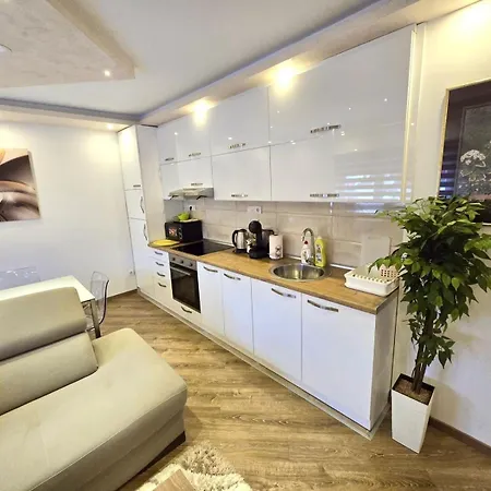 Sasa Apartment Bajina Basta