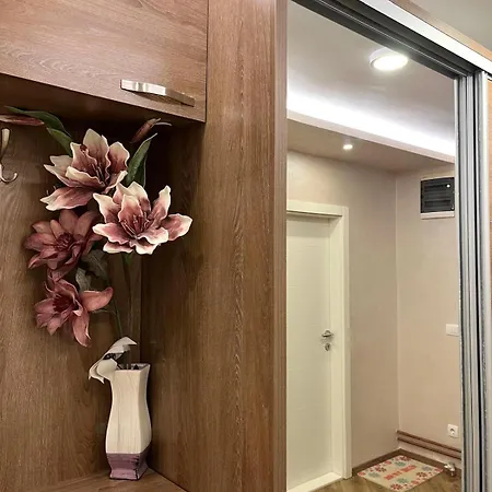 Apartment Sasa Bajina Basta