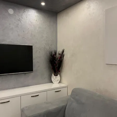 Apartment Sasa Bajina Basta