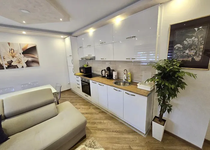 Sasa * Баина-Башта