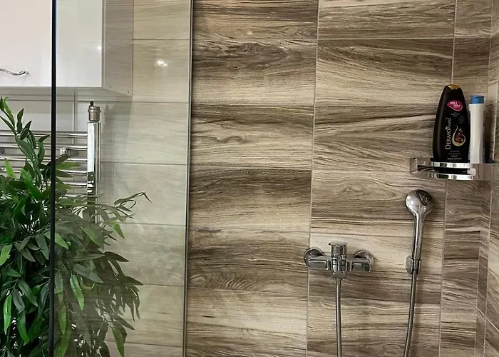 Sasa Апартаменты Баина-Башта